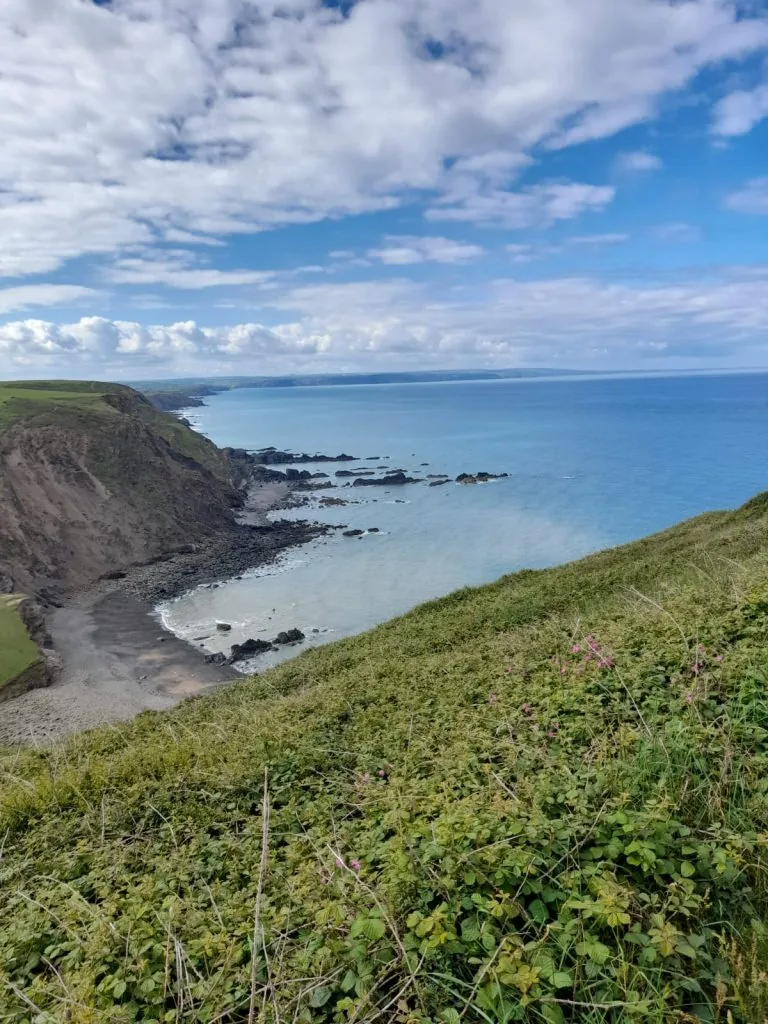 WhatsApp Image 2022-06-11 at 9.42.44 PM