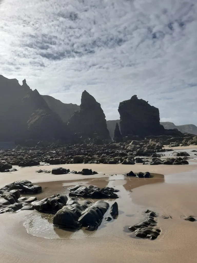 WhatsApp Image 2022-06-11 at 9.42.28 PM