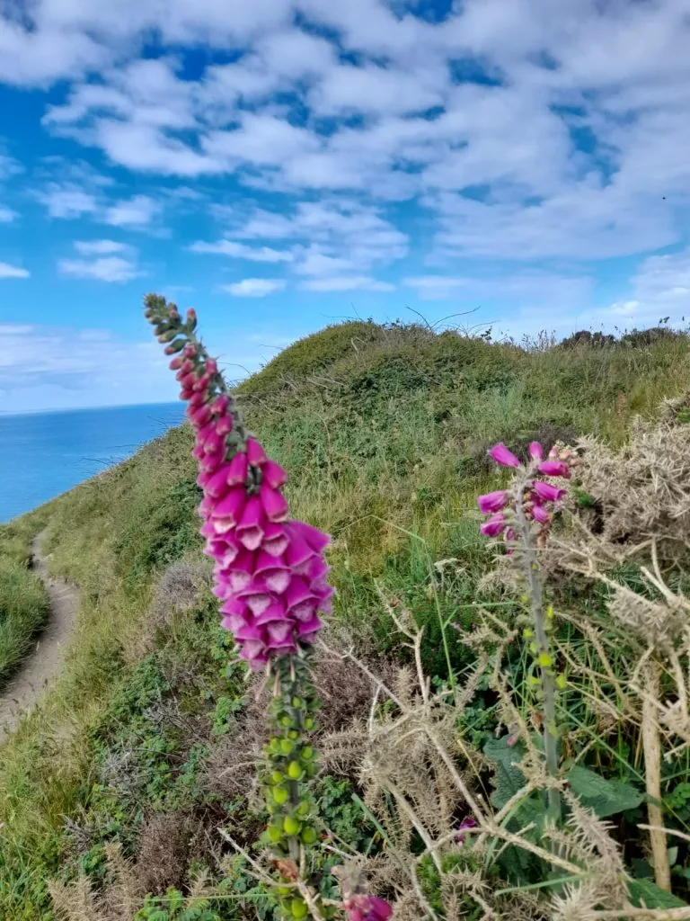 WhatsApp Image 2022-06-11 at 9.42.43 PM