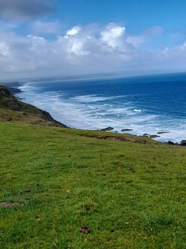 WhatsApp Image 2022-06-11 at 10.53.03 PM