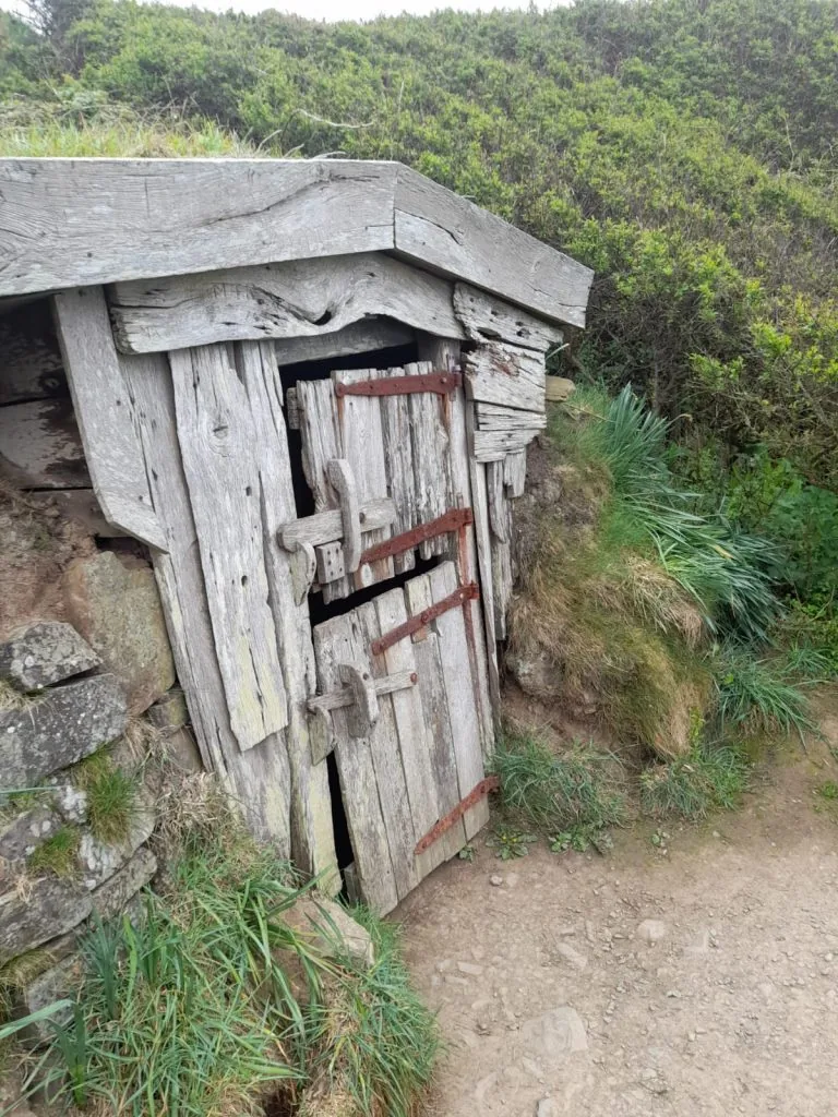 WhatsApp Image 2022-05-31 at 8.10.04 PM