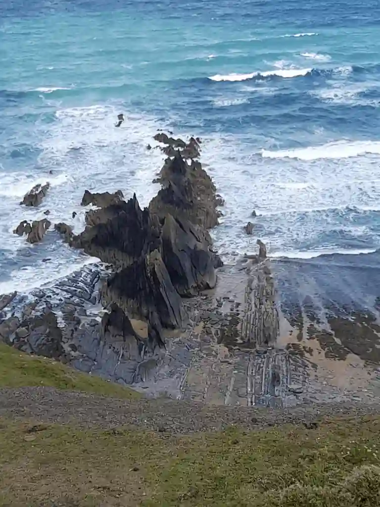 WhatsApp Image 2022-06-11 at 9.42.32 PM