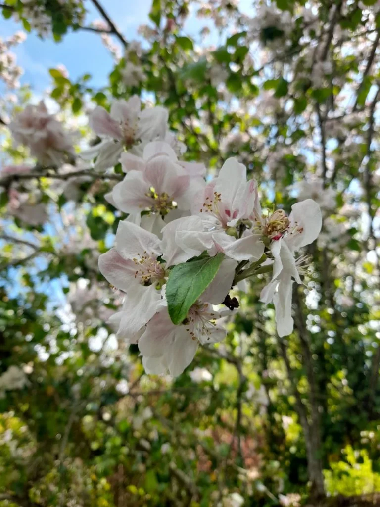 WhatsApp Image 2022-06-11 at 9.44.29 PM