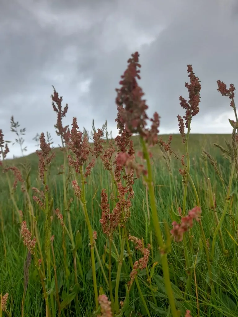 WhatsApp Image 2022-06-11 at 9.42.44 PM (1)