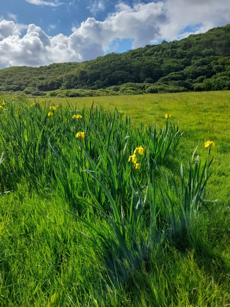 WhatsApp Image 2022-06-11 at 10.53.04 PM (1)