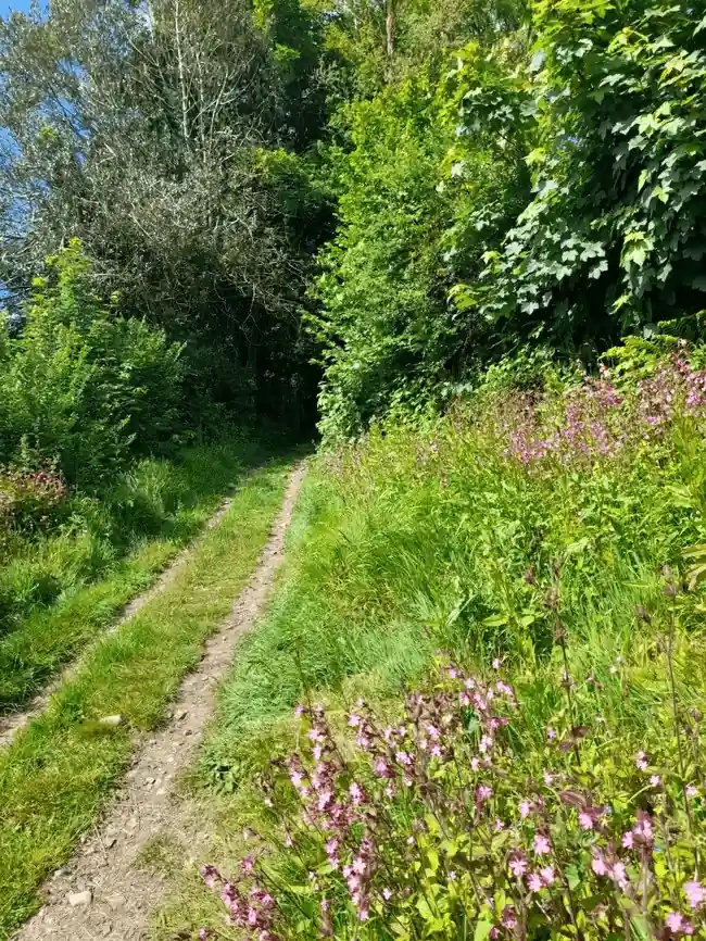public footpath running through site