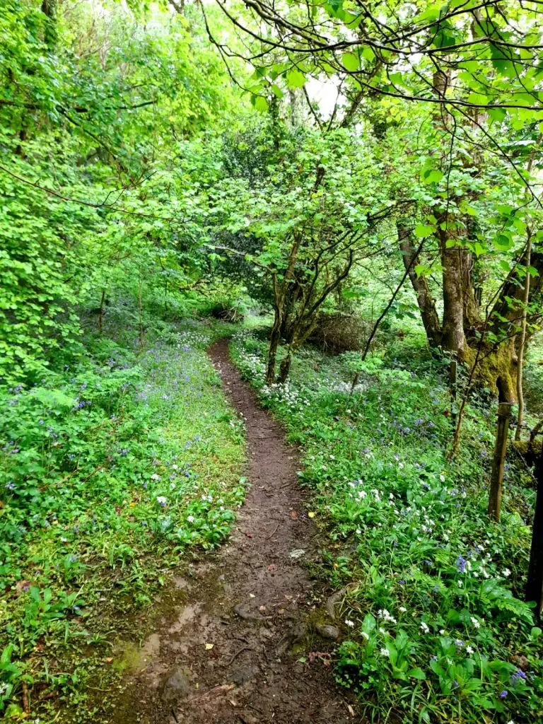 WhatsApp Image 2022-06-11 at 10.53.03 PM (1)