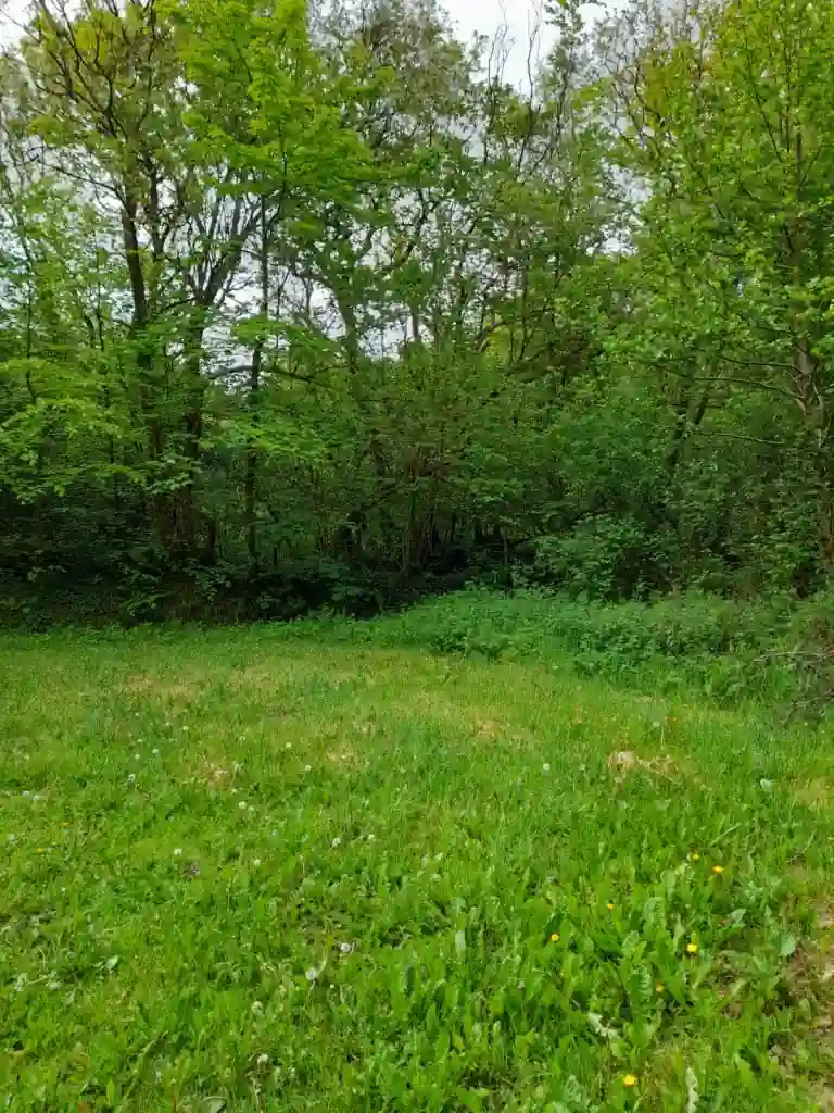 WhatsApp Image 2022-05-13 at 09.58.35