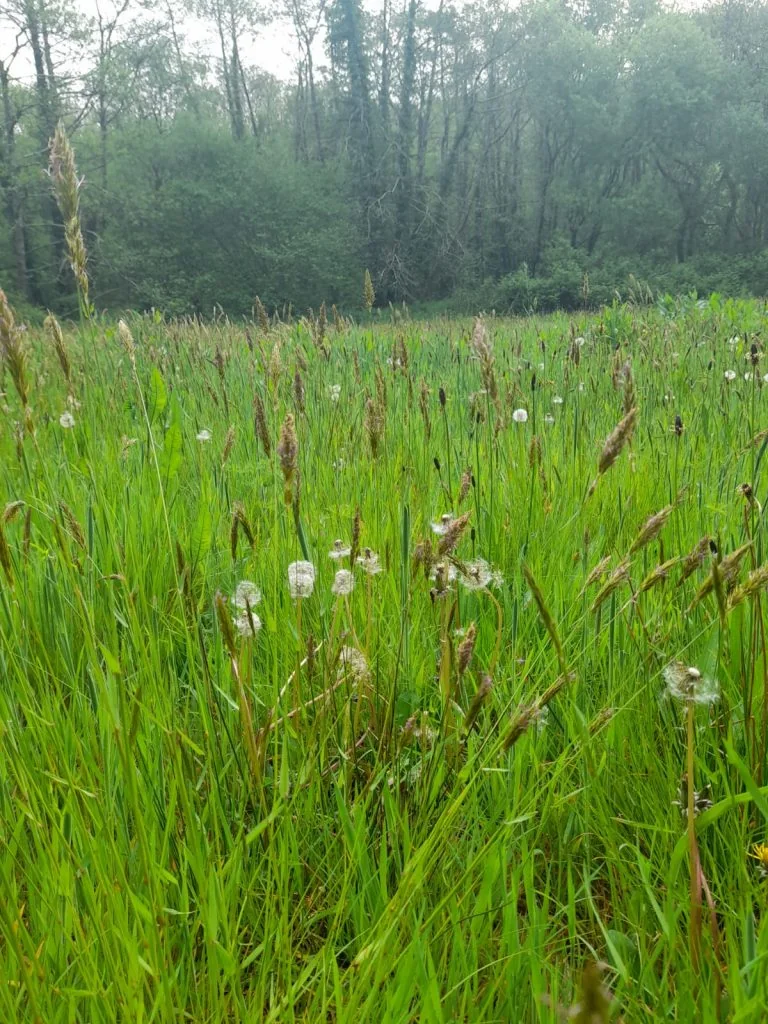 WhatsApp Image 2022-06-11 at 9.44.28 PM (1)