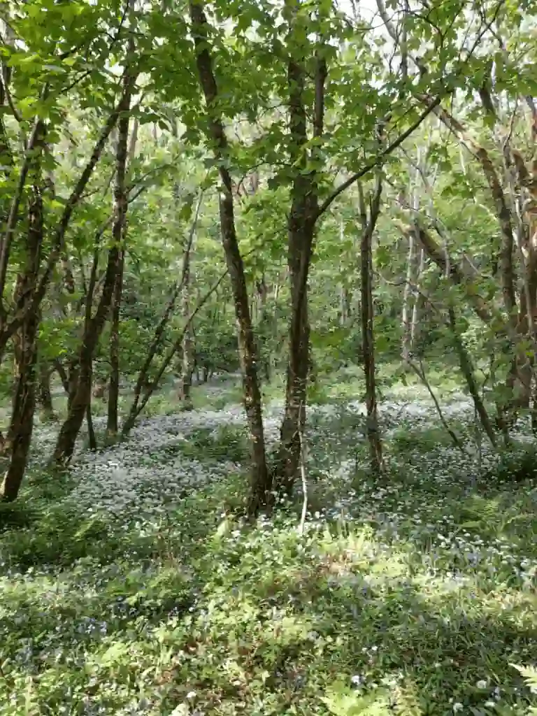 WhatsApp Image 2022-06-11 at 9.44.33 PM