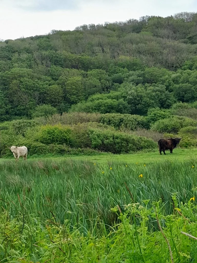 WhatsApp Image 2022-06-11 at 10.53.05 PM