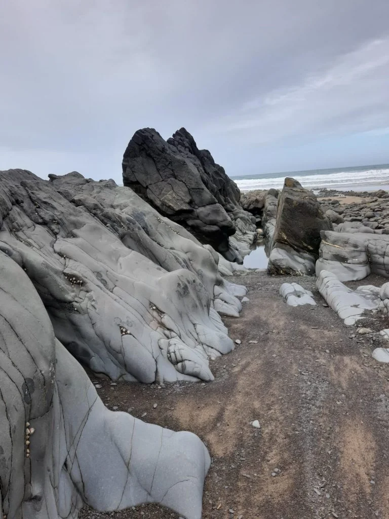 WhatsApp Image 2022-06-11 at 9.44.28 PM