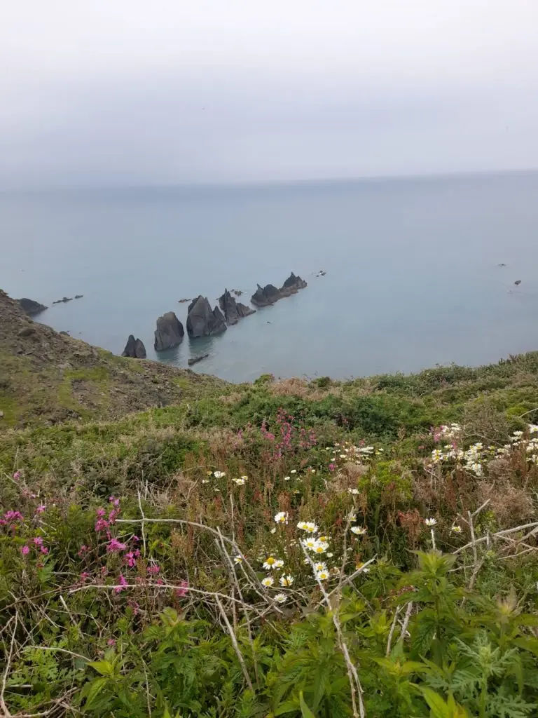 WhatsApp Image 2022-06-11 at 9.42.38 PM