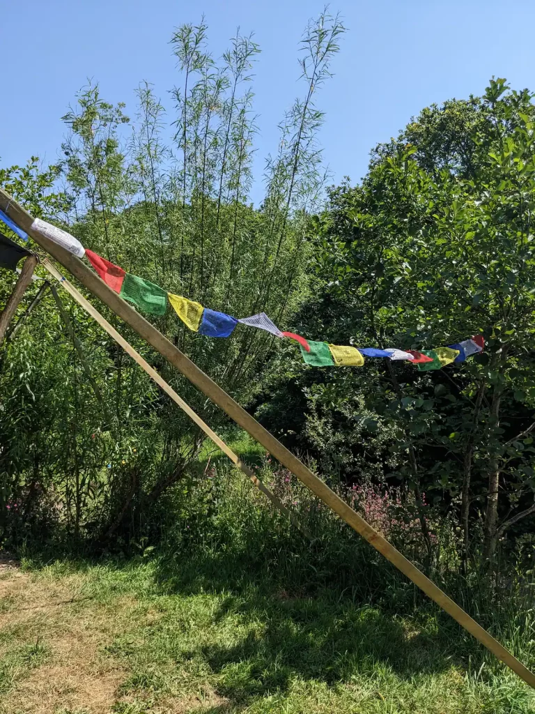 50193c81-020c-48da-bba9-33ffeb2f55a5