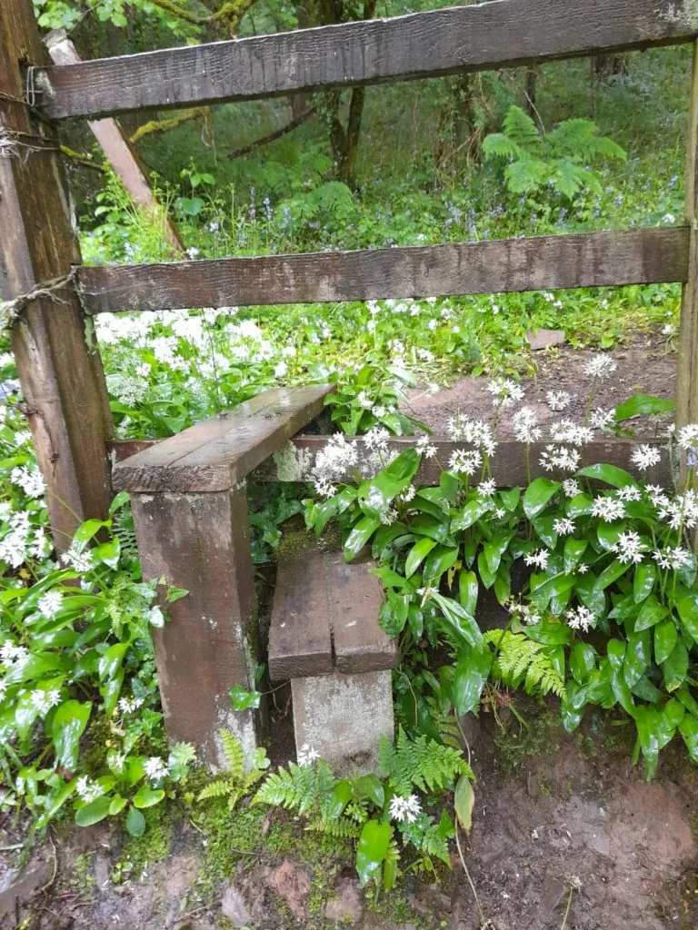 WhatsApp Image 2022-06-01 at 2.04.18 PM (2)